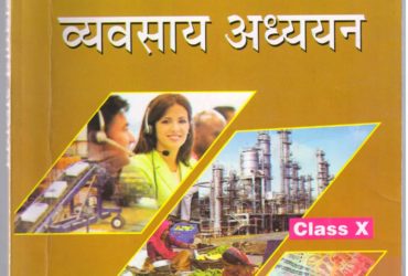 Nios 215 Business Studies (व्यव्साय अध्ययन) 10th Class Hindi Medium Book