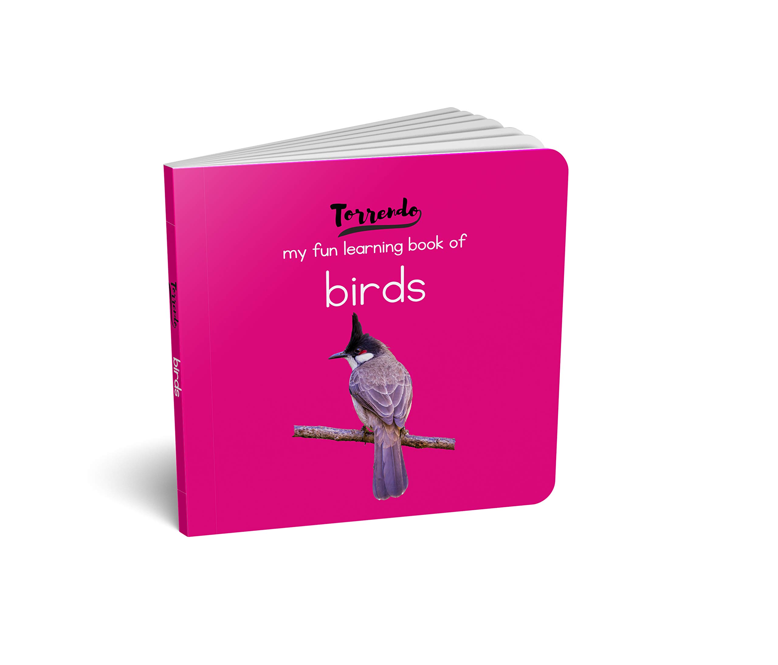 Latest Edition My Fun Learning Birds Picture Board Book for Kids