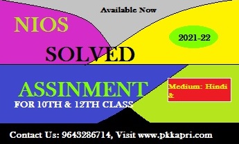 Nios Painting 225 Handwritten Solved Assignment file 2022