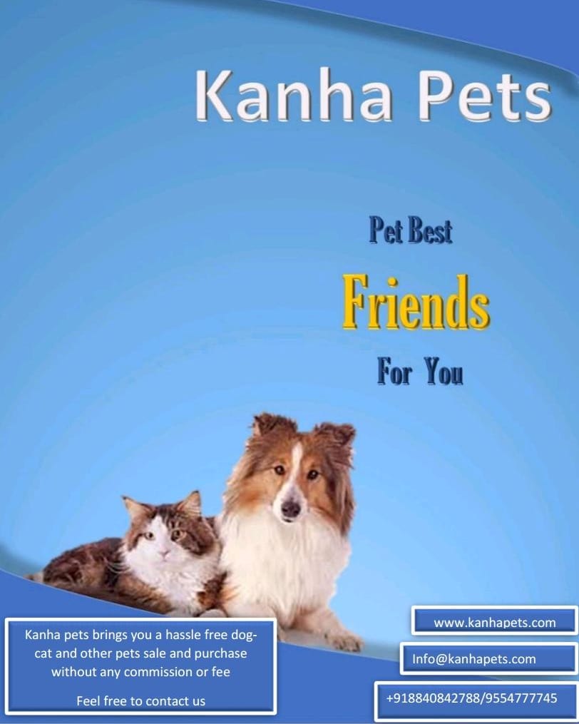 Kanha Pet brings best quality pets