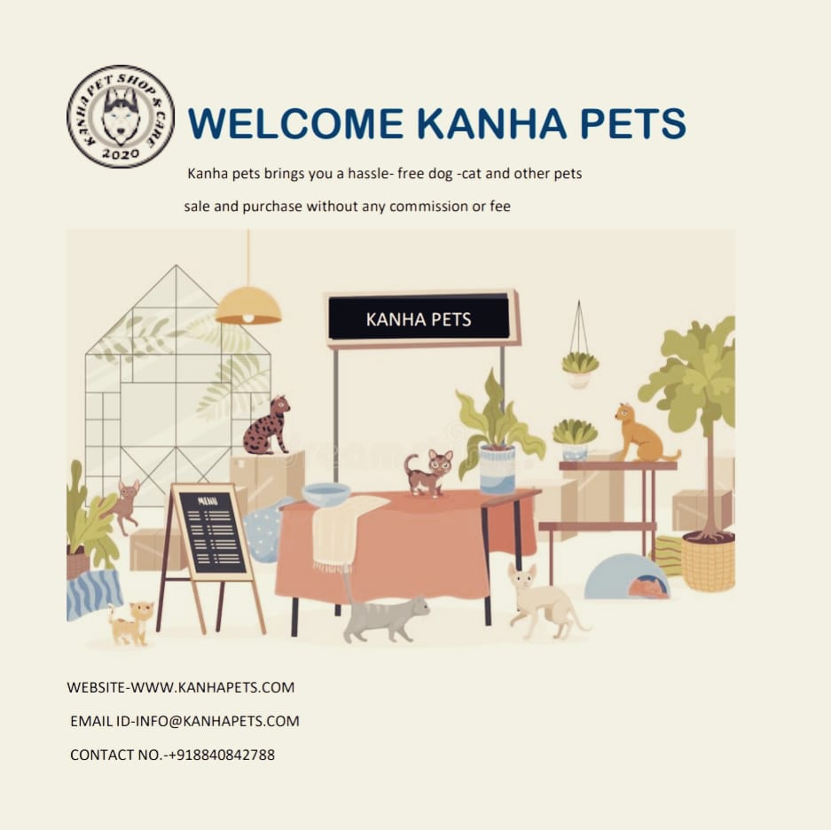 Kanha Pet brings you best quality pets