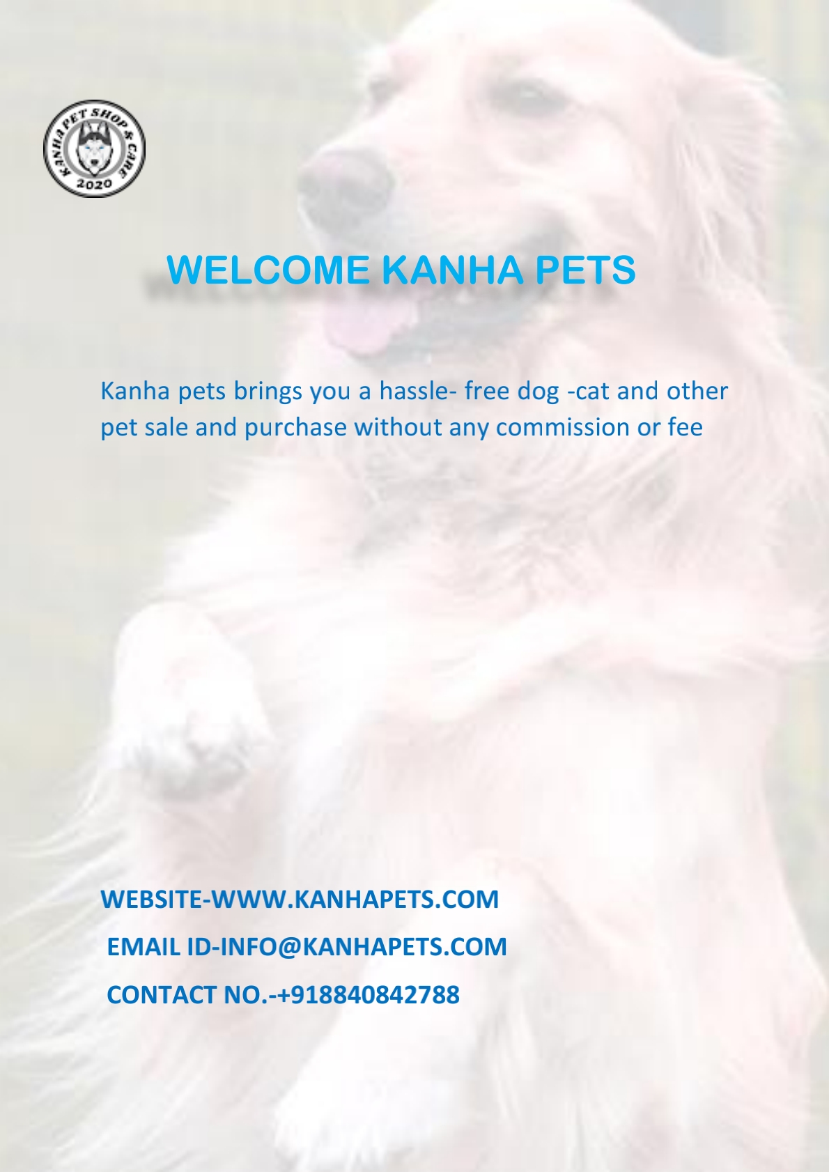 All breeds of dogs and cats are available here