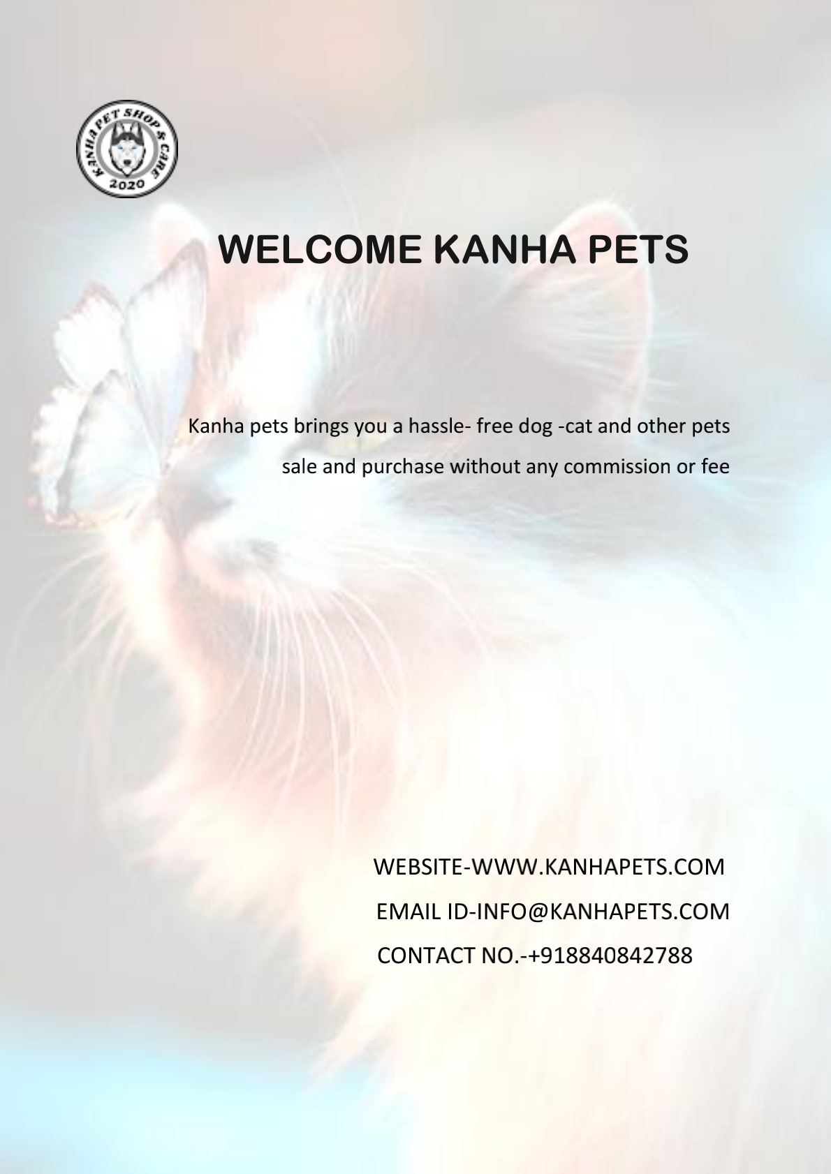 Best and high quality pets are available here