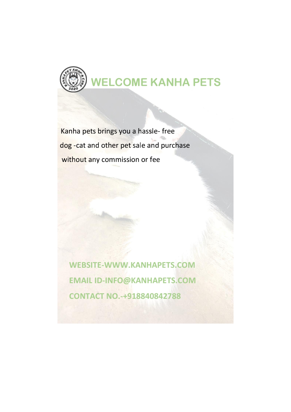 Kanha Pet brings you the best quality pets