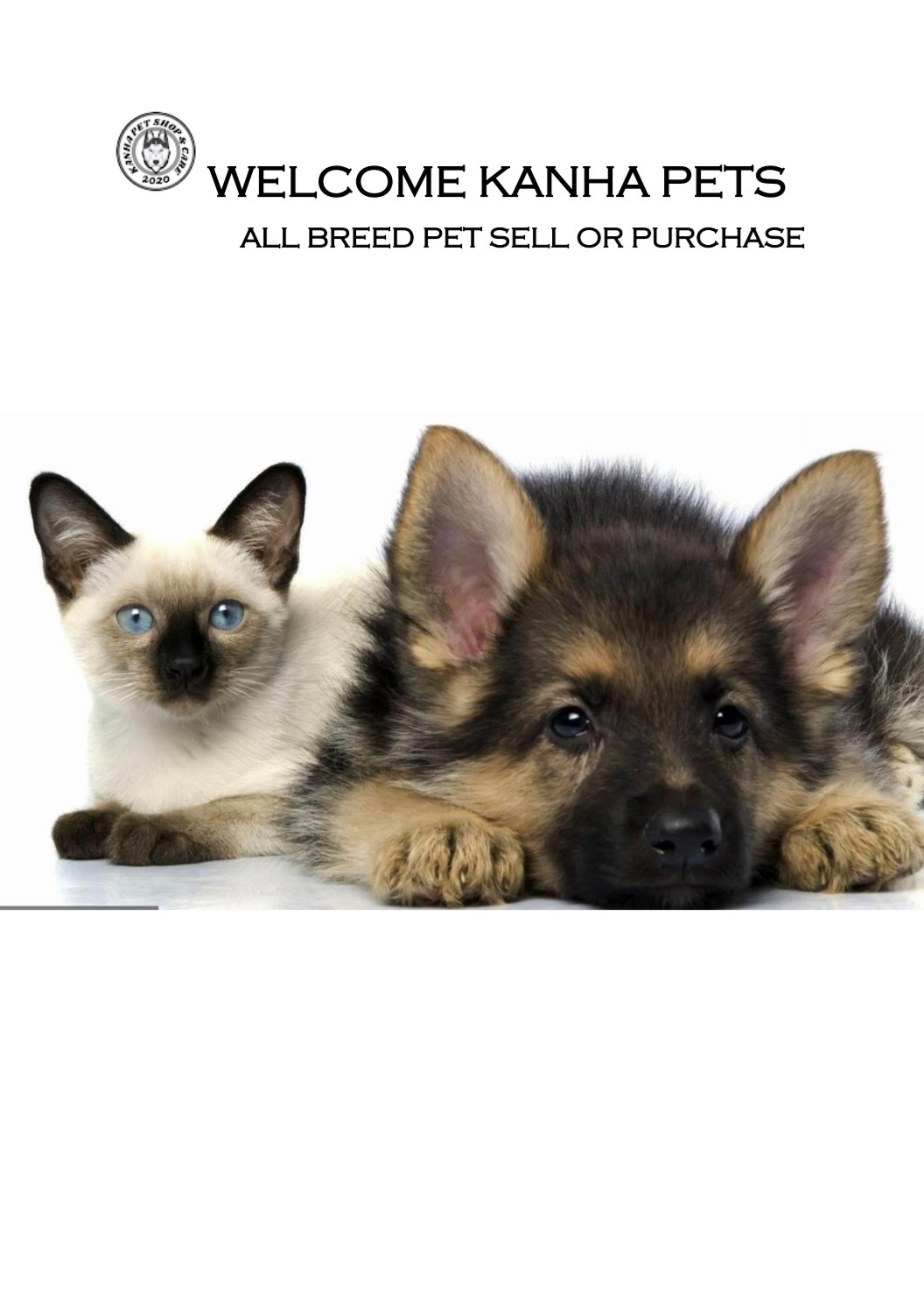 Pets for sale
