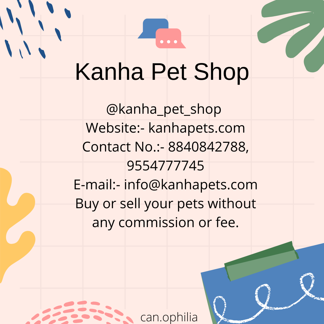 The Best Shop The Kanha Pet Shop