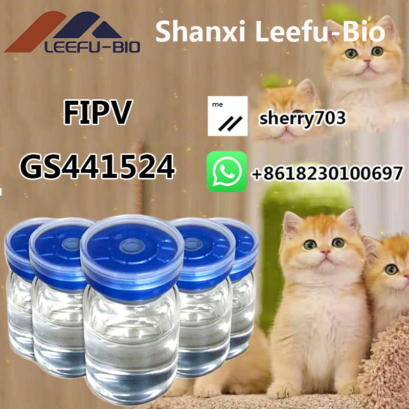 Safe and Fast Delivery 99% High Purity GS441 Liquid for Cat Fip fipv