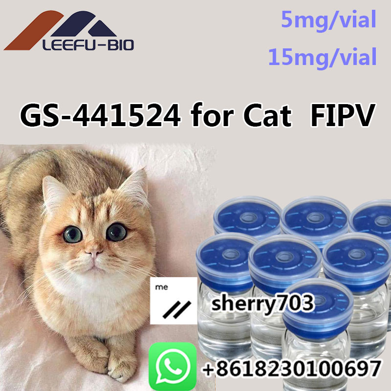 Safe and Fast Delivery 99% High Purity GS441 Liquid for Cat Fip fipv