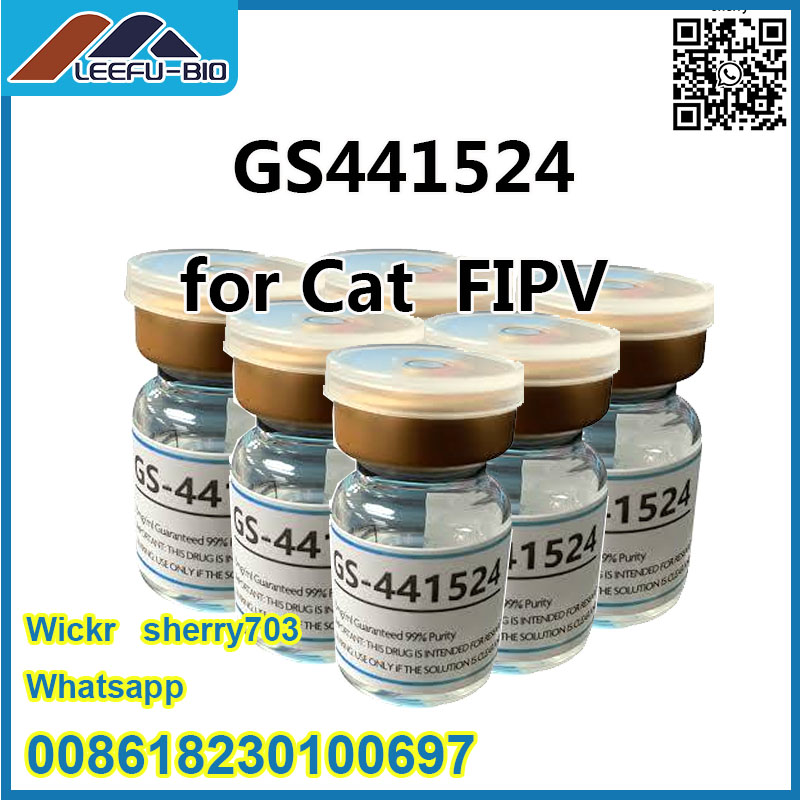 99% GS-441524 GS-441 For Cat FIPV  5ml