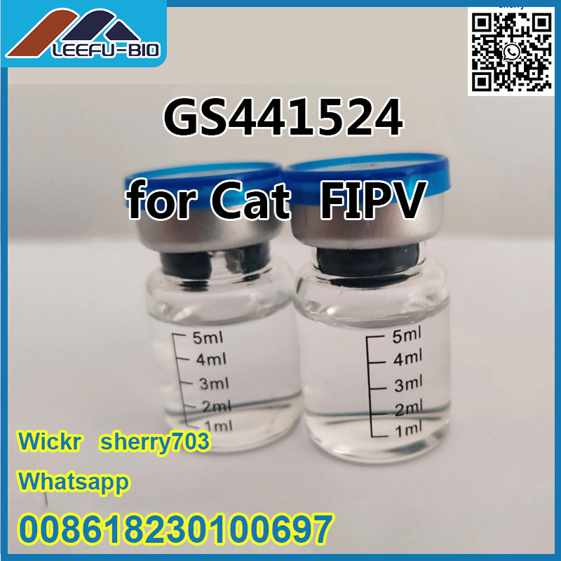 99% GS-441524 GS-441 For Cat FIPV  5ml