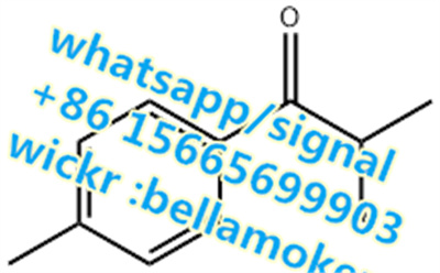 1451-82-7 2-Bromo-4′-methylpropiophenone  whatsapp+86 15665699903