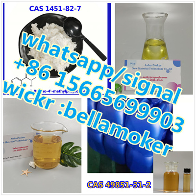 1451-82-7 2-Bromo-4′-methylpropiophenone  whatsapp+86 15665699903