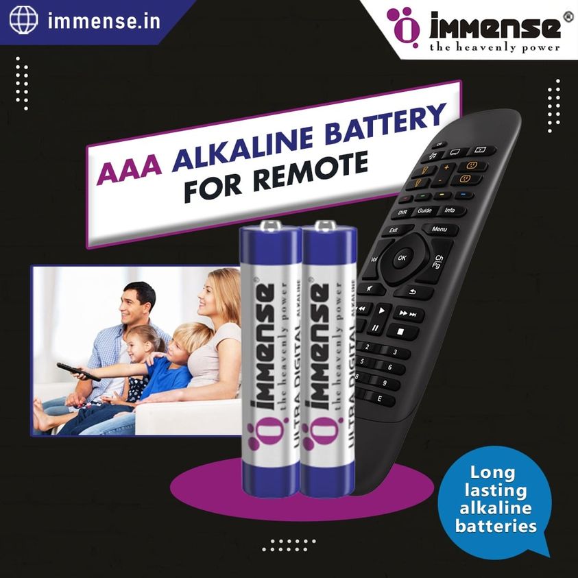 select AAA Alkaline battery for high drainage device Immense