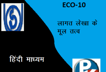 IGNOU ECO – 10 Elements of Costing hindi medium Handwritten Assignment File 2022