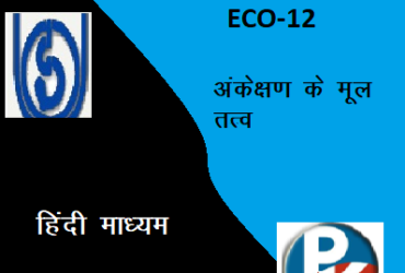 IGNOU ECO – 12: Elements of Auditing Hindi medium Handwritten Assignment File 2022