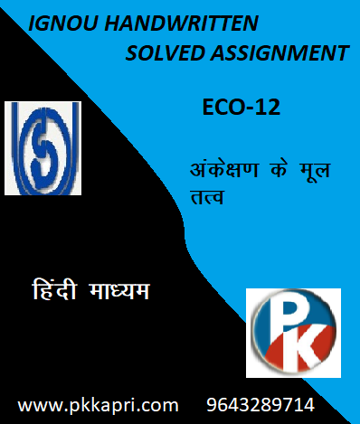 IGNOU ECO – 12: Elements of Auditing Hindi medium Handwritten Assignment File 2022