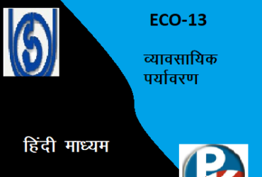 IGNOU ECO – 14: Accountancy – II hindi medium Handwritten Assignment File 2022