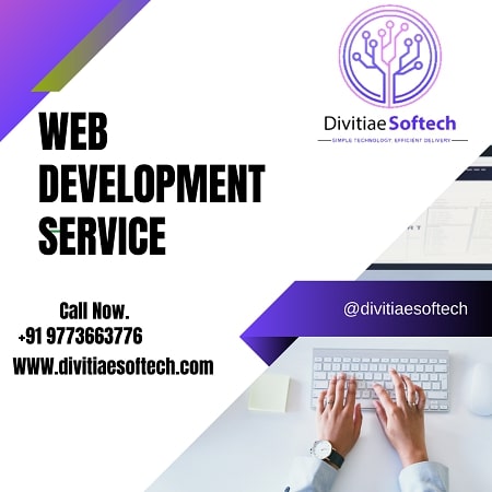 Do You want Professional Web Development Service in Delhi