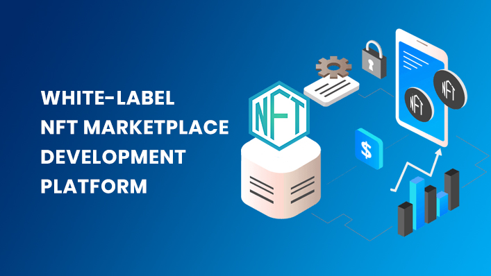 White Label NFT Marketplace Development – Best way to initiate your NFT business