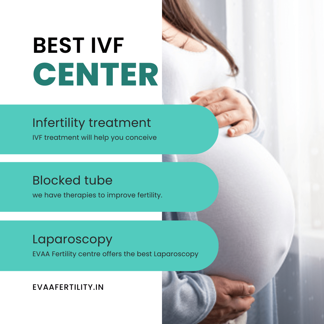The Center For Excellence in Infertility and Fertility Management.