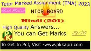 Nios handwritten Hindi 201 solved tma 2023 Scanned Copy