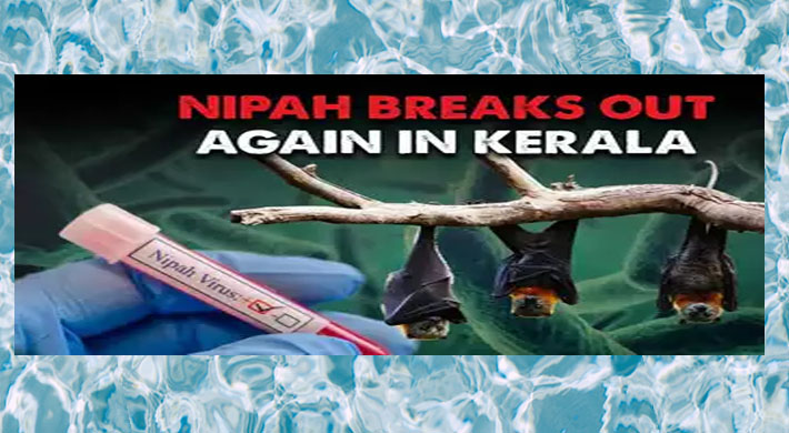 Nipah Virus Infection Kerala