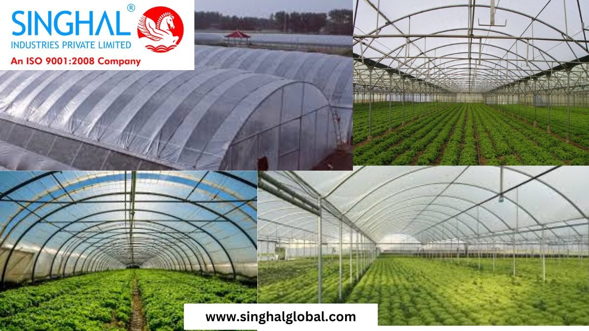 Types of Greenhouse Films Single-Layer Greenhouse Film: