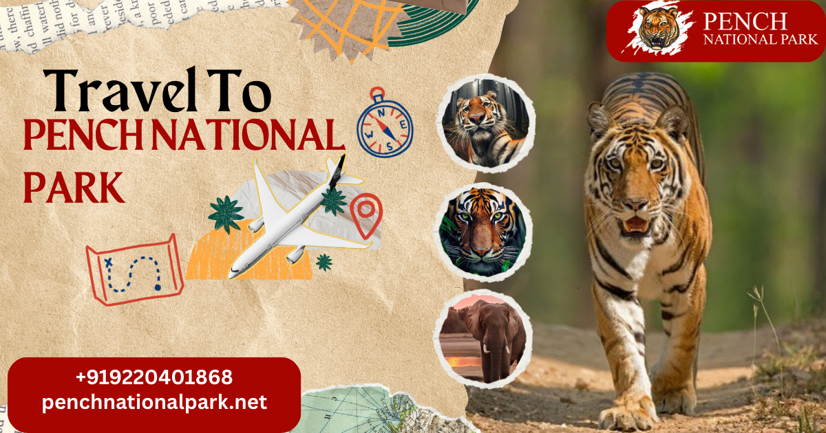 Discover Pench National Park – A Hidden Gem of Tribal Heritage & Ecotourism!