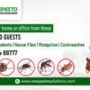 Commercial Pest Control Services