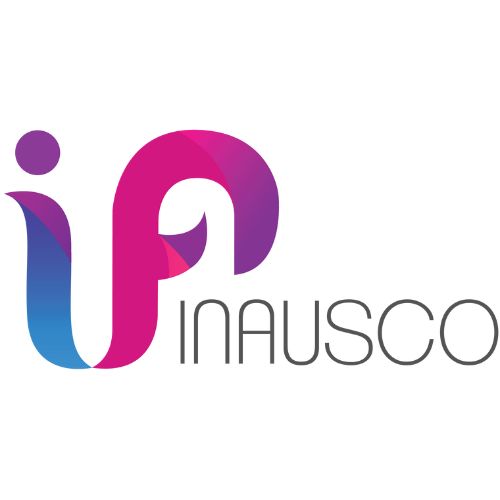 INAUSCO DIGITAL OPC PVT LTD