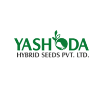 yashoda seeds