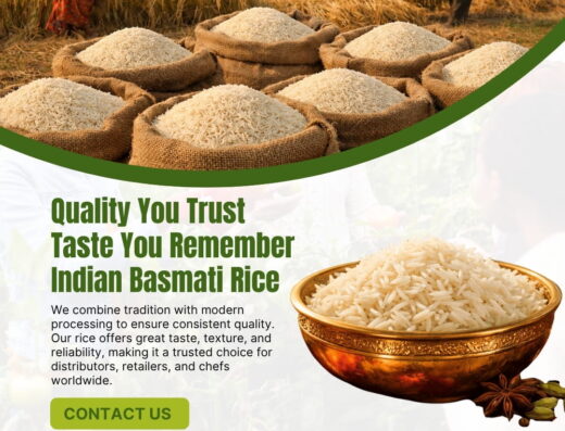 Vi Exports India Pvt Ltd