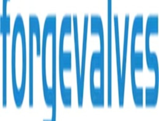 China Forged Valves Co., Ltd.