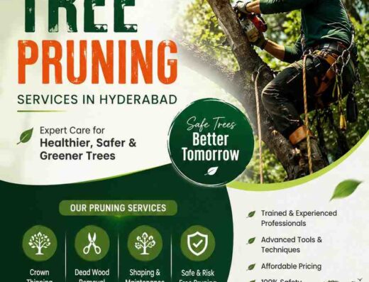 Tree Pruning Services in Hyderabad